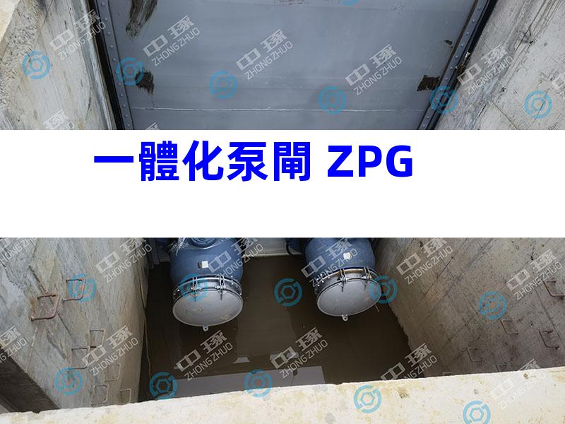 一體化泵閘 ZPG